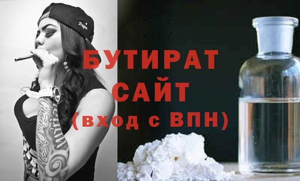 индика Гусев