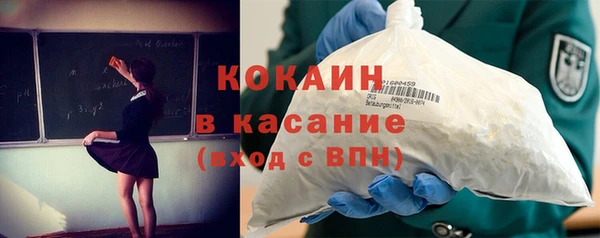 индика Гусев