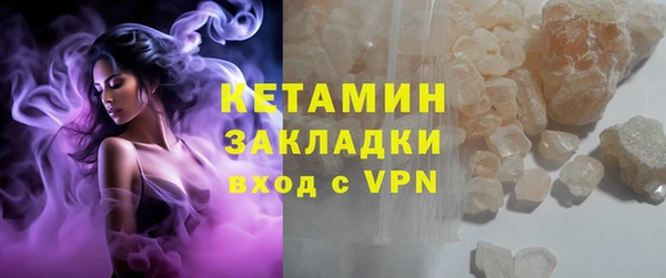 индика Гусев