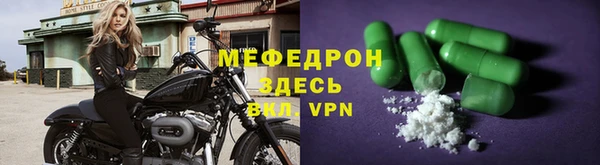 индика Гусев