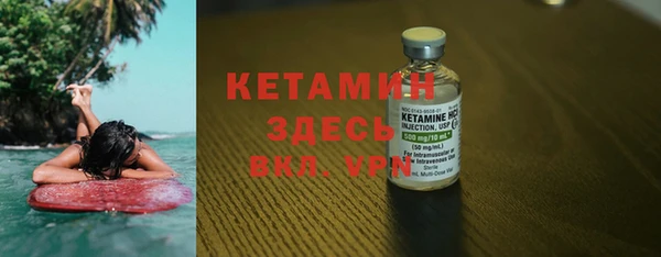 индика Гусев