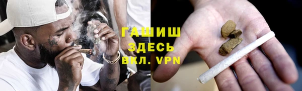индика Гусев