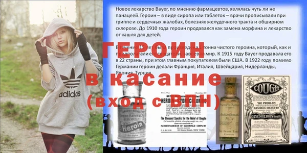 индика Гусев