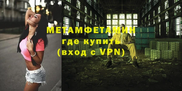 индика Гусев