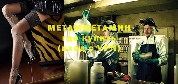 индика Гусев