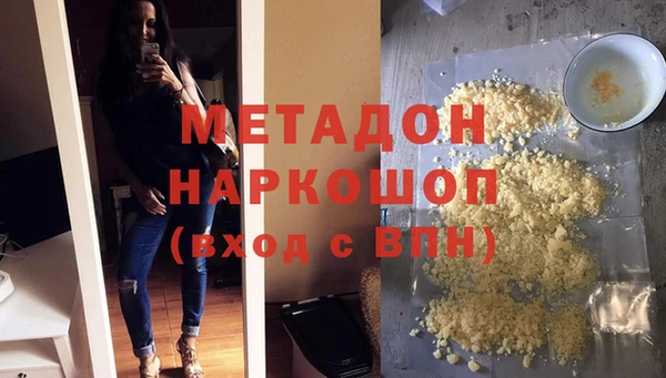 индика Гусев