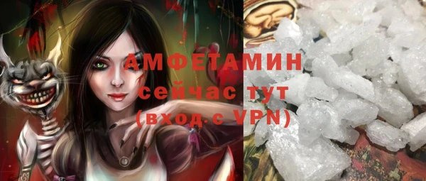 индика Гусев