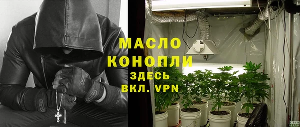 индика Гусев