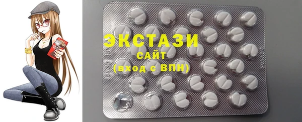 индика Гусев