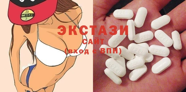 индика Гусев