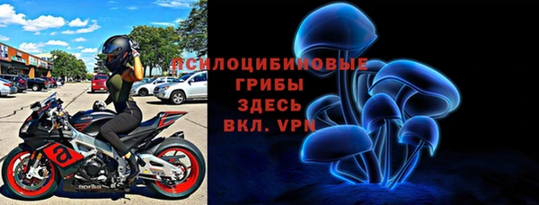соль ск Гусиноозёрск