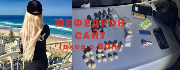 индика Гусев