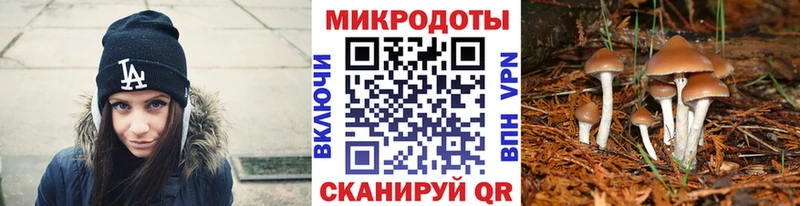 Псилоцибиновые грибы Psilocybe  Купить где  Темрюк 
